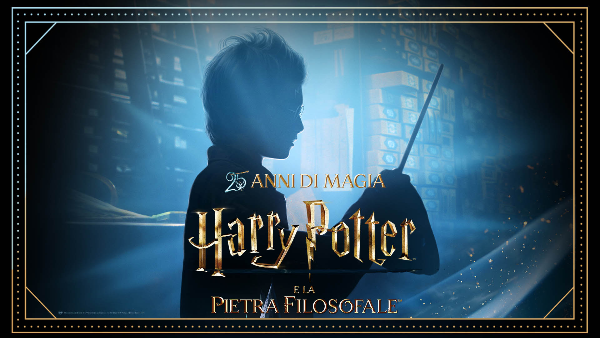 HARRY POTTER 25